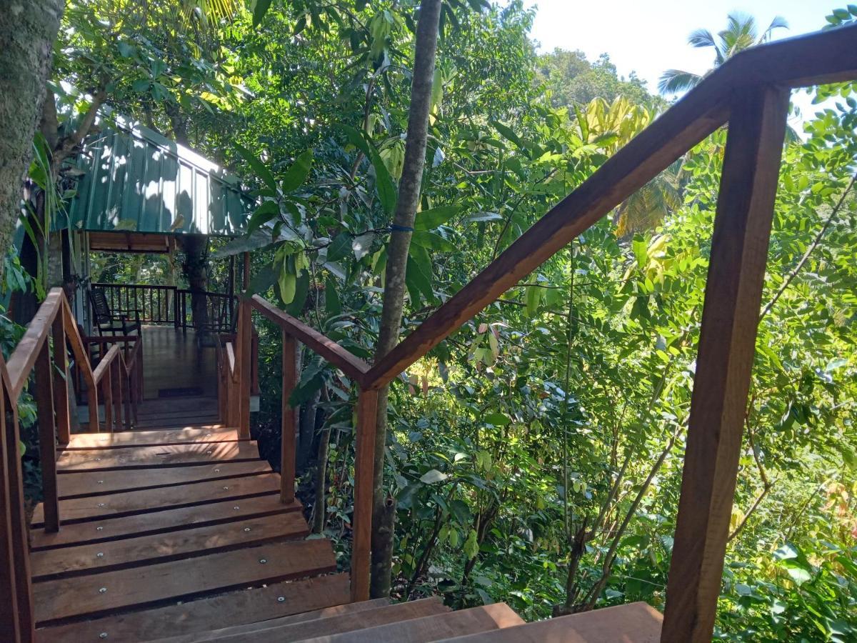 Cinnamon View Lodge Mirissa Exterior photo